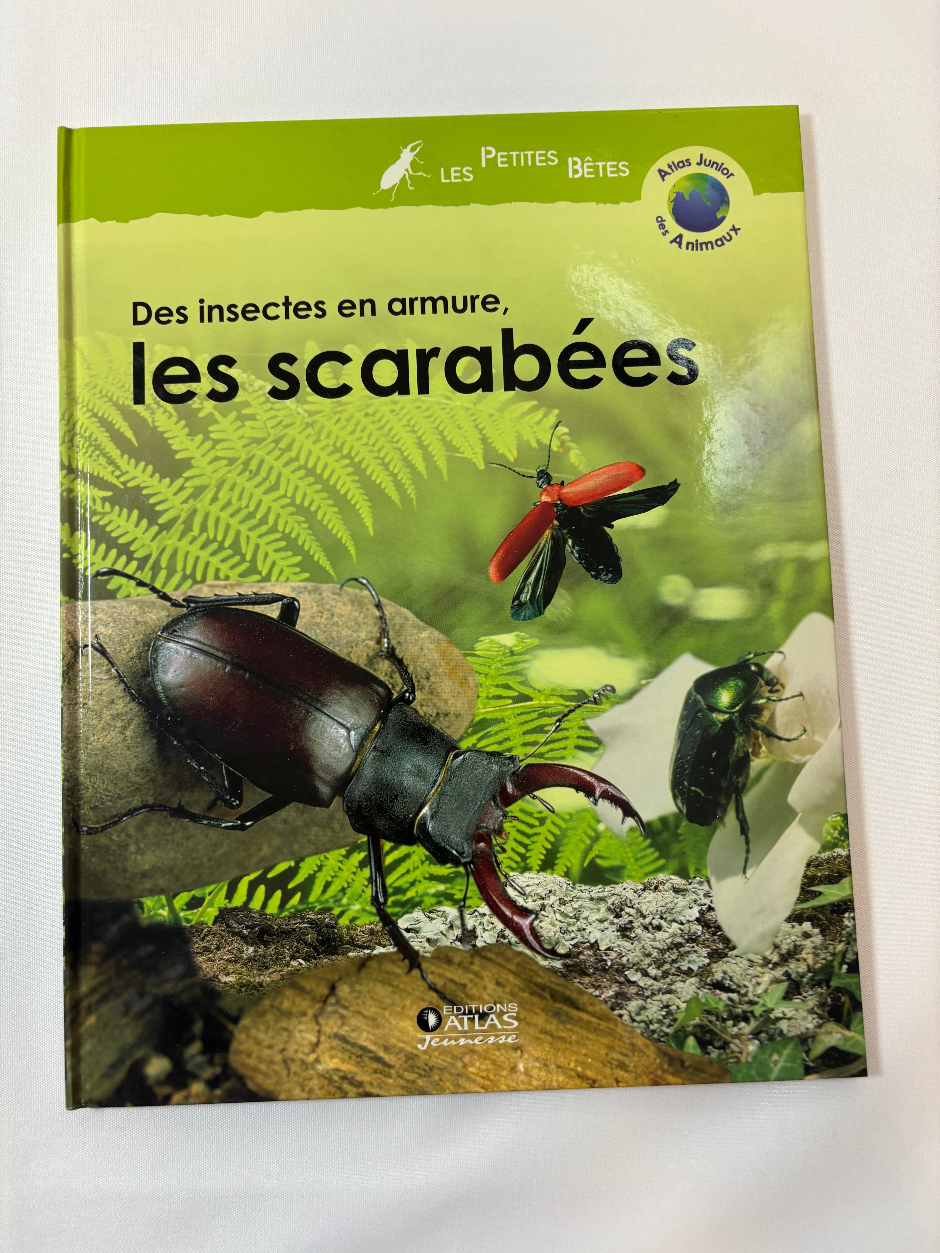 Les Scarabées