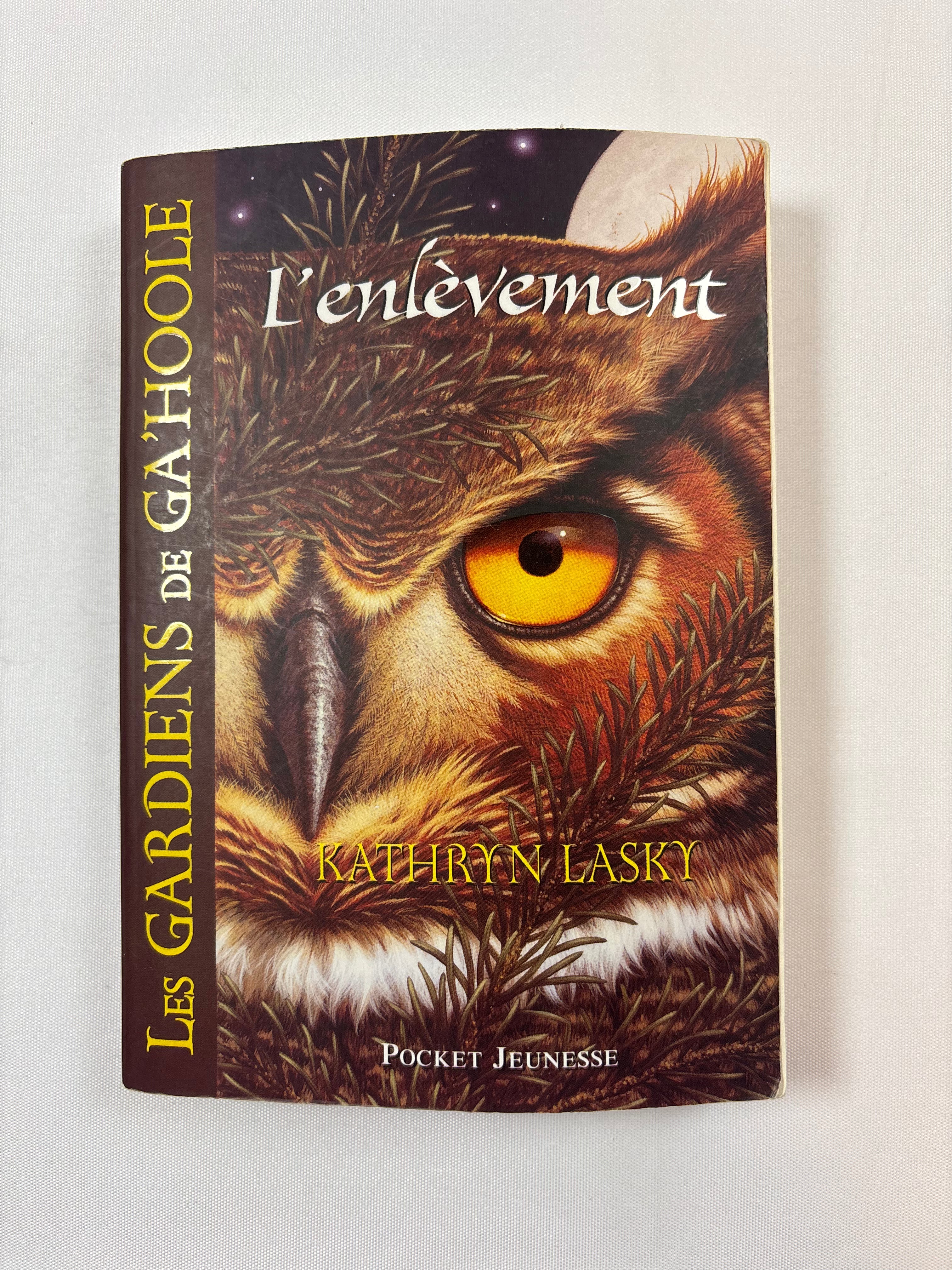 Les gardiens de Ga'Hoole – Pocket Jeunesse