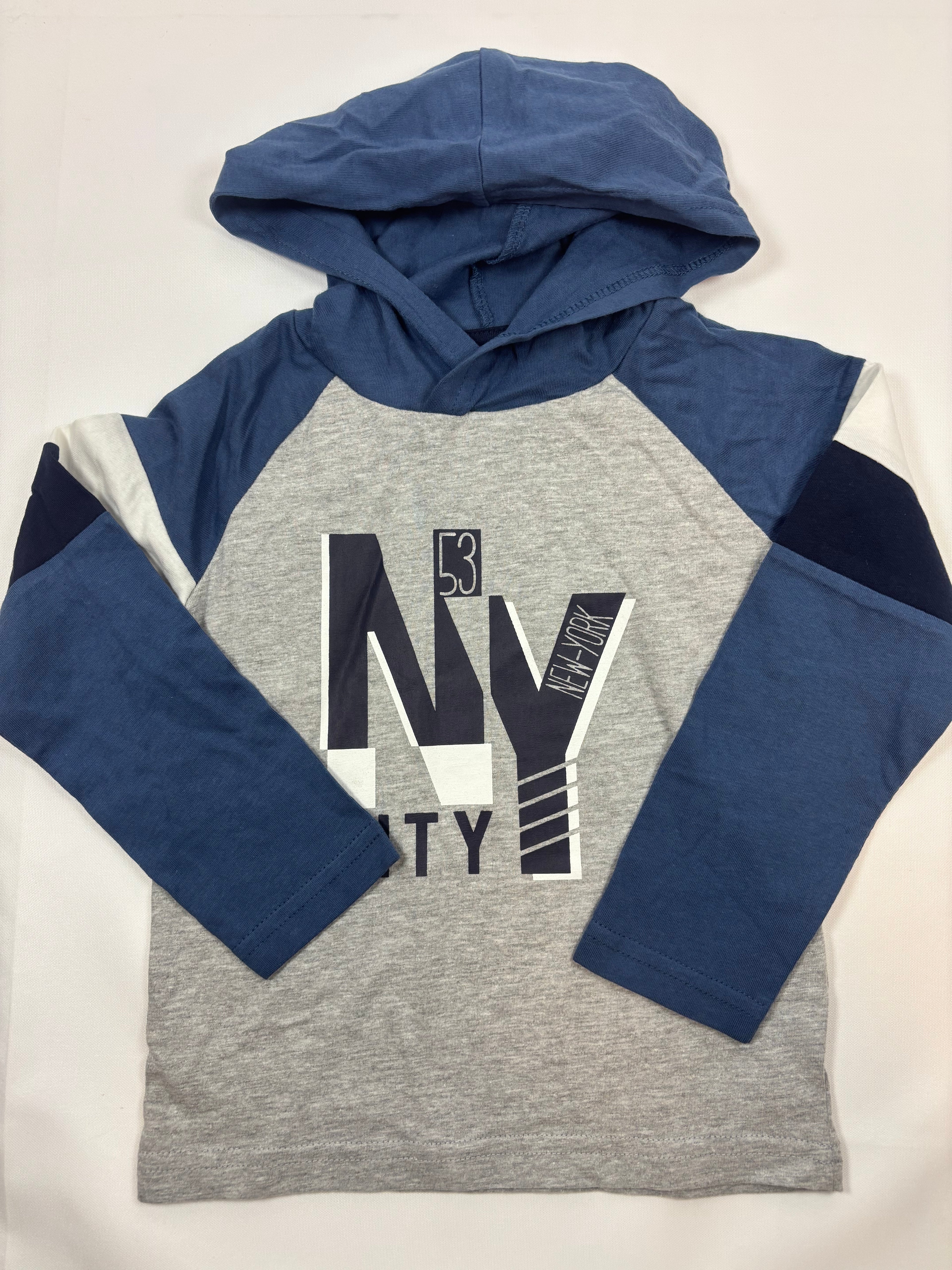 Sweat-shirt à capuche bleu et gris motif dinosaure – Tissaia – Garçon 104