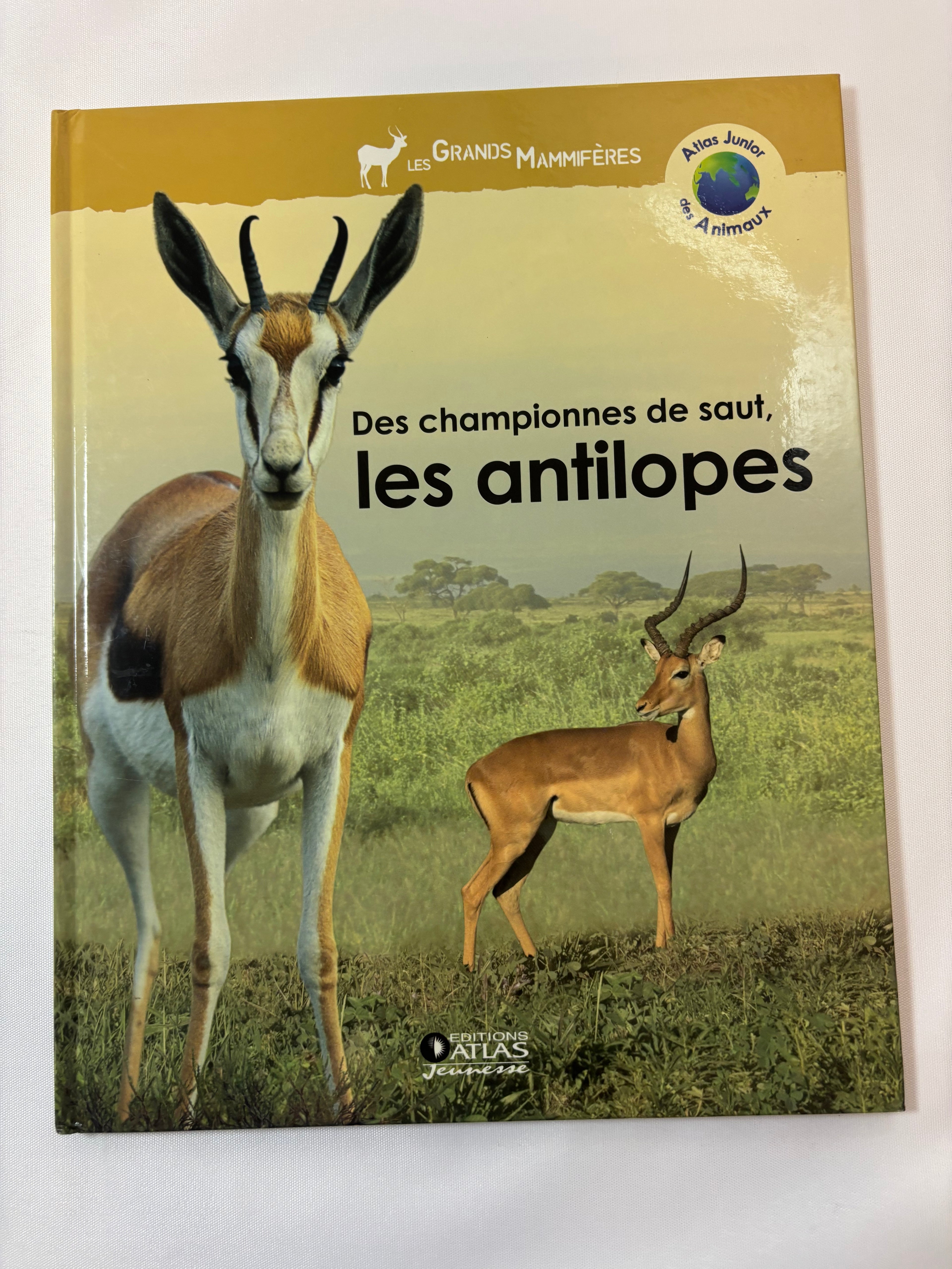 Les Antilopes