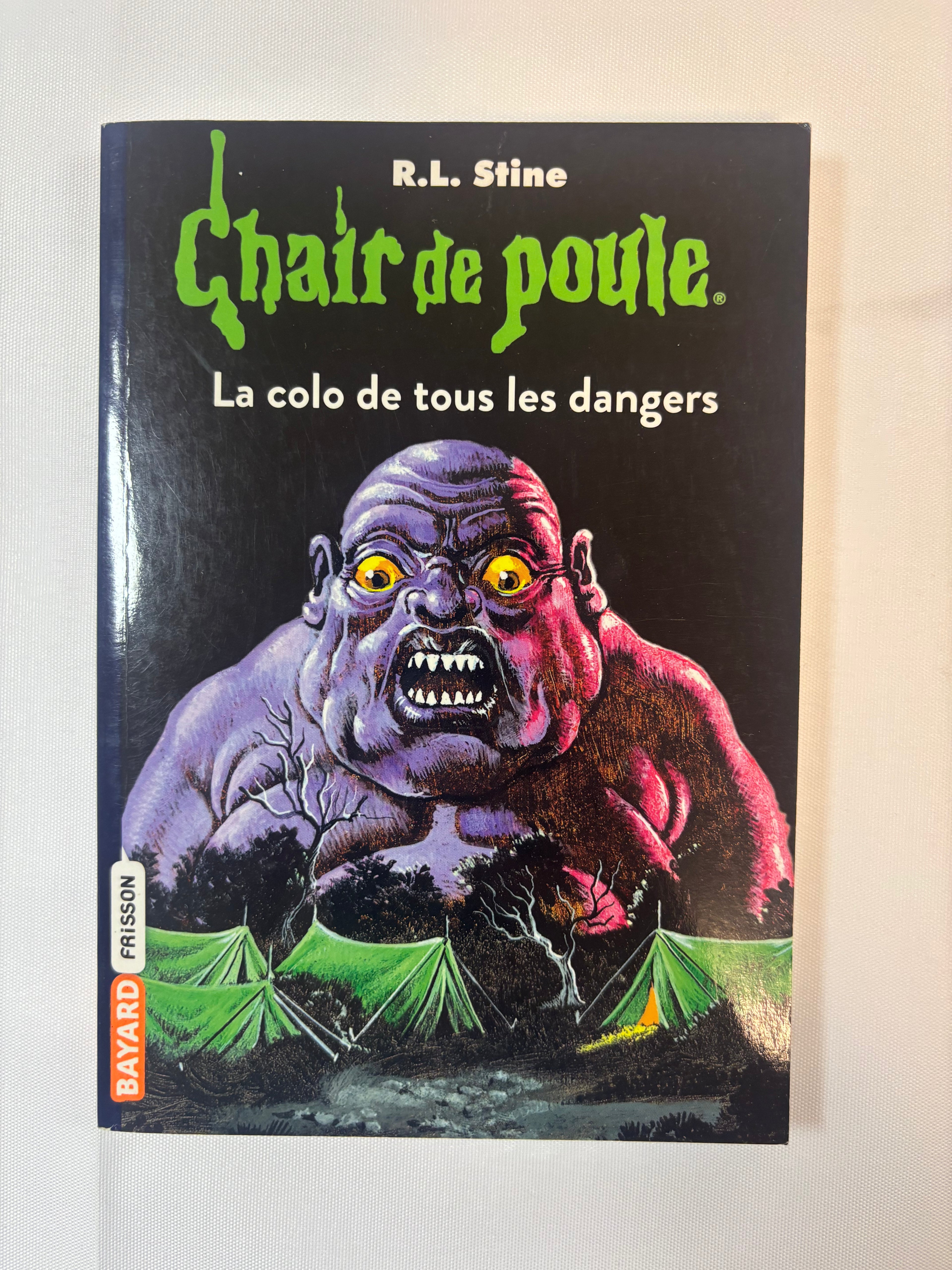 Chair de Poule : La colo de tous les dangers – Bayard Poche