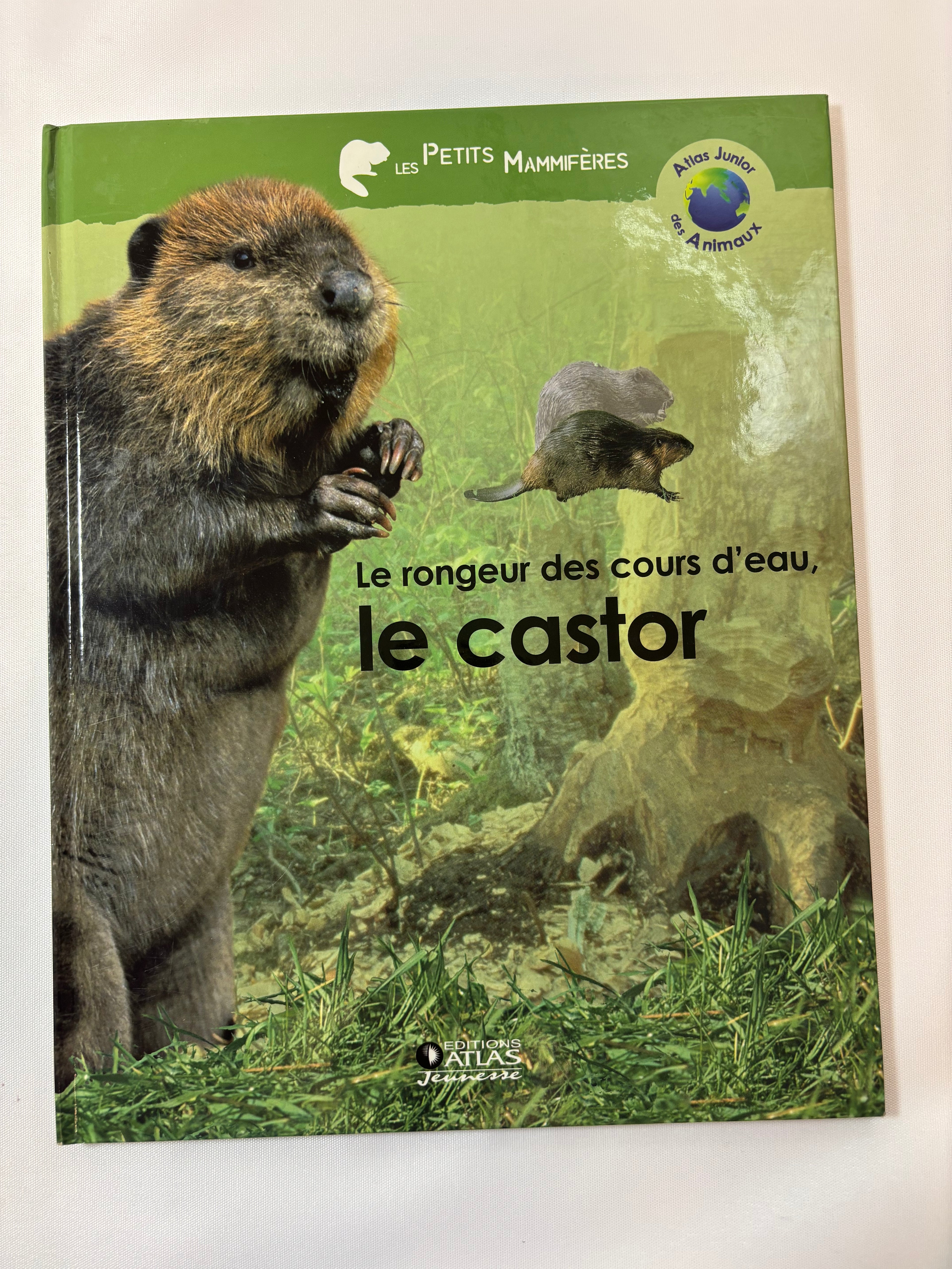 Le Castor