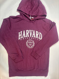 Pull bordeaux inscription Harvard Sinsay – Taille 140 fille