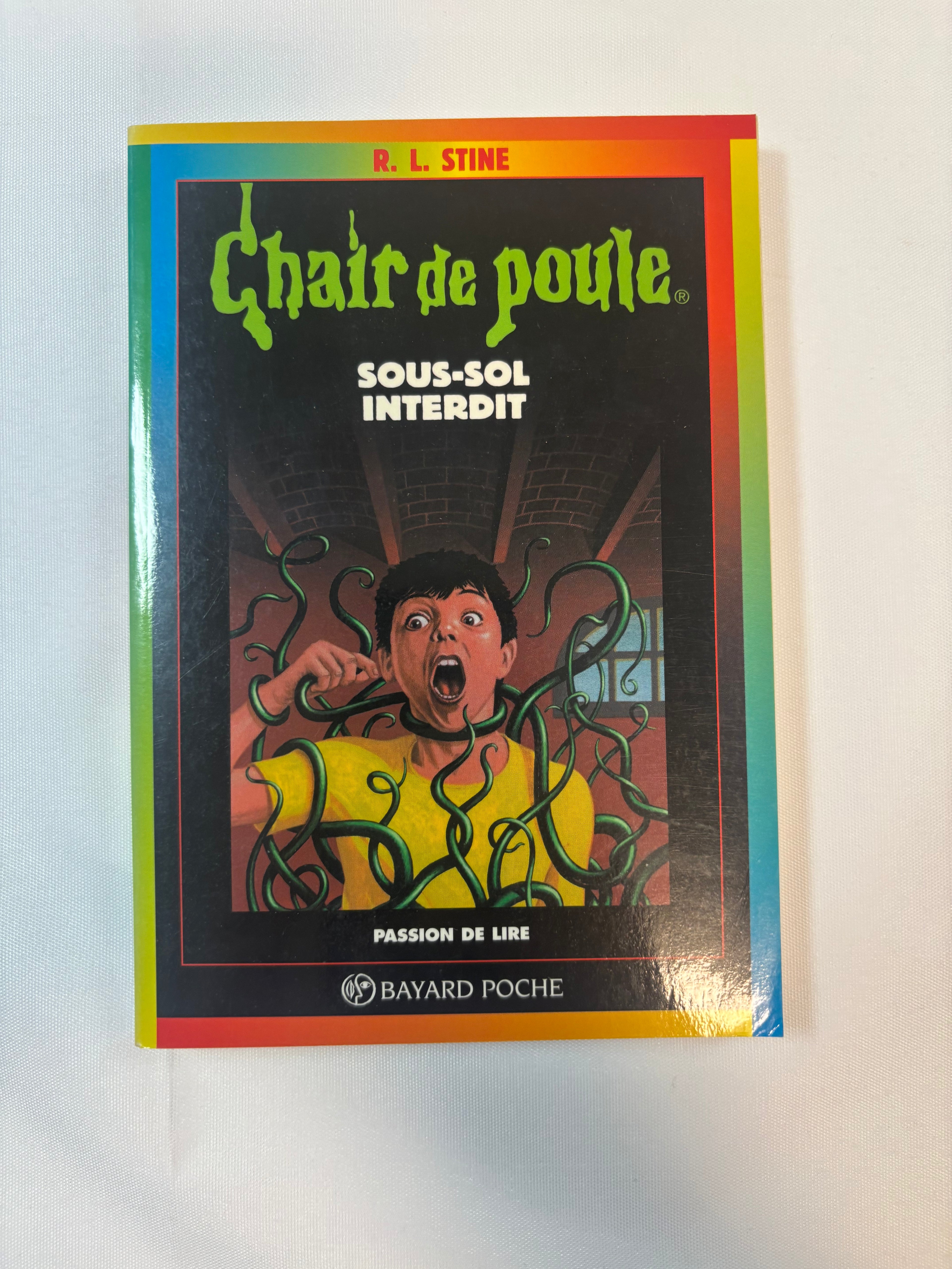 Chair de Poule : Sous-sol interdit – Bayard Poche