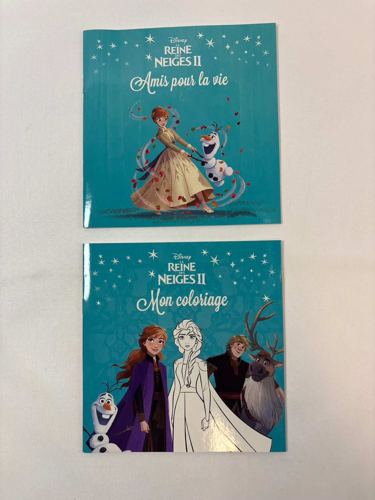 Amis pour la vie + livre de coloriage Disney