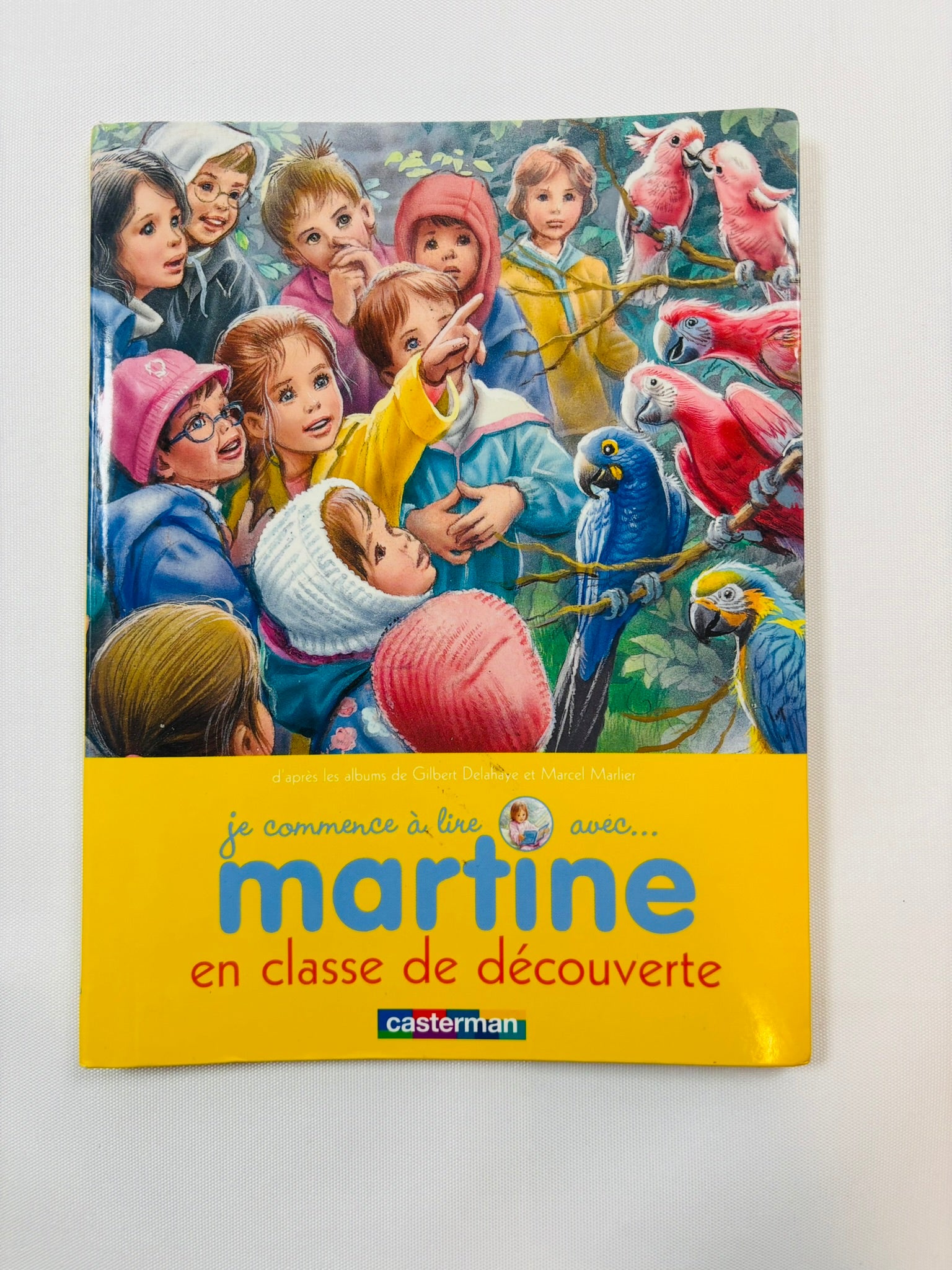 Je commence à lire avec Martine – Martine en classe de découverte – Casterman