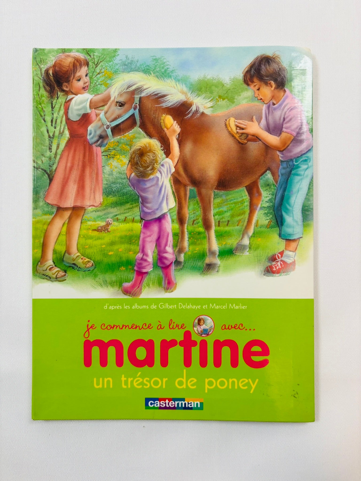 Je commence à lire avec Martine – Un trésor de poney – Casterman